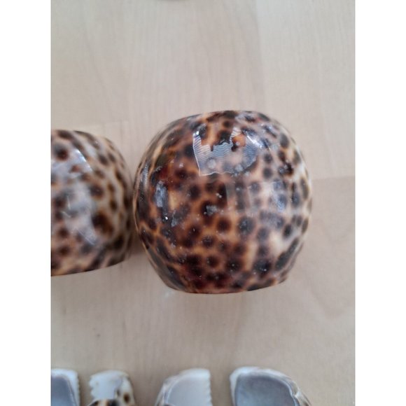 Sets of 4 Real Natural & 4 Star Seashell Tiger Leopard Cowrie Shell Napkin Rings - Picture 5 of 9